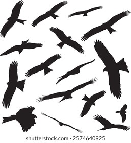 Flying Bird Silhouettes Pack, Black Eagle Vector Designs, Hawk and Falcon Silhouette Collection, Bird Shapes Clipart, Avian Shadows and Silhouettes, Wildlife Bird Graphic Elements, Vector illustration