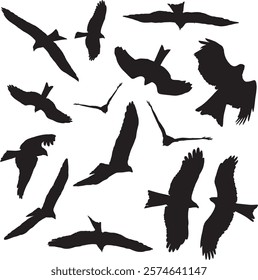 Flying Bird Silhouettes Pack, Black Eagle Vector Designs, Hawk and Falcon Silhouette Collection, Bird Shapes Clipart, Avian Shadows and Silhouettes, Wildlife Bird Graphic Elements, Vector illustration