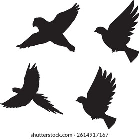 Flying bird silhouettes vector collection. 