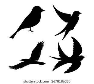 Flying Bird Silhouettes Vector Set Nature and Freedom Symbolism