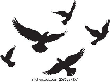 Flying bird silhouettes. White background