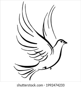 flying bird sketch vector illustration