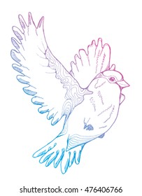 Flying bird with spread wings. Sparrow. Line art. Drawing by hand. Decorative. Tattoo. Doodle.