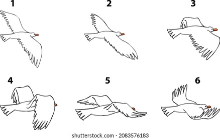 Flying Bird Vector Animation Frames