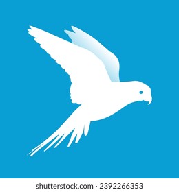 Flying bird vector design, white color bird