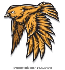 flying bird vector and illustration