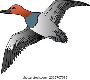 flying bird   vector illustration isolated on white background