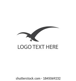 flying bird vector illustration logo design