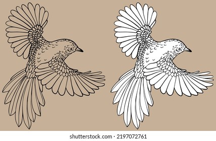 Flying bird vector, linear, black and white drawing. For coloring books. For your illustrations. 