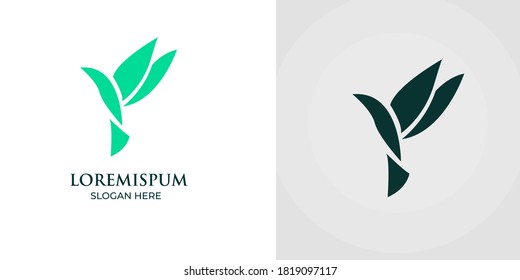 Flying Bird vector logo design on two background .Bird logo template vector illustration vintage minimal retro . Bird logo design 