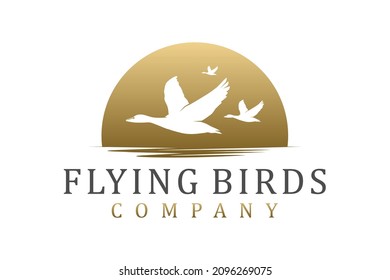 Flying Bird Vector logo design
