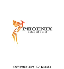 Flying Bird vector logo. Luxury bird  eagle  hawk  vector line logotype design