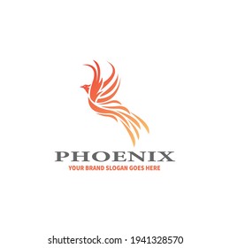 Logo del vector de aves voladoras. Diseño de lootipo de línea vectorial de avena de ave de lujo