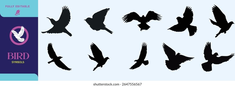 Flying bird vector and silhouette