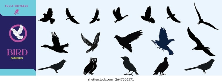Flying bird vector and silhouette