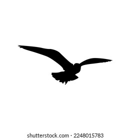 Flying bird vector silhouette, bird vector illustration.