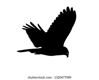 Flying bird vector silhouette isolated on white background