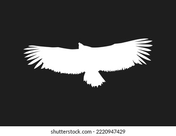 Flying bird of white silhouettes isolated on black background. Fit for logo, symbol, banner, bakcground, tattoo, apparel. Bird element vector. Eps 10