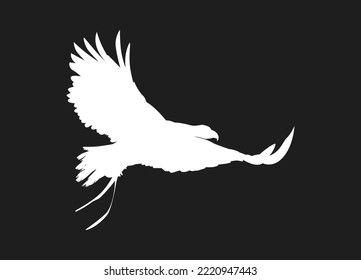 Flying bird of white silhouettes isolated on black background. Fit for logo, symbol, banner, bakcground, tattoo, apparel. Bird element vector. Eps 10