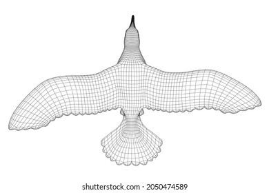 Flying bird wireframe isolated on white background. View from above. 3D. Vector illustration