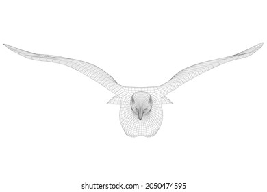 Flying bird wireframe isolated on white background. Front view. 3D. Vector illustration