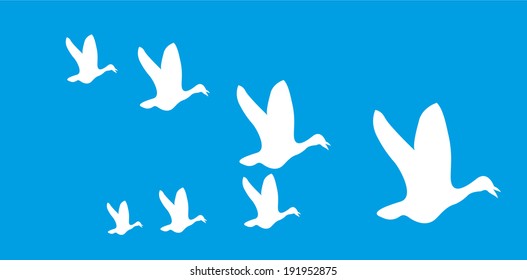Flying birds