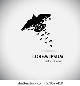 Flying Birds Abstract. Vector
