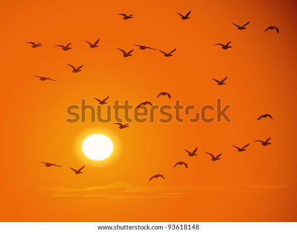 Flying Birds Against Orange Sunset Stock Vector (Royalty Free) 93618148