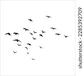 Flying Birds Black Silhouette Vectors Set EPS Free PNG Formats