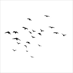 Flying Birds Black Silhouette Vectors Set EPS Free PNG Formats