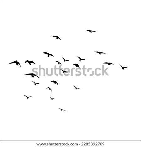 Flying Birds Black Silhouette Vectors Set EPS Free PNG Formats Сток-фото © 