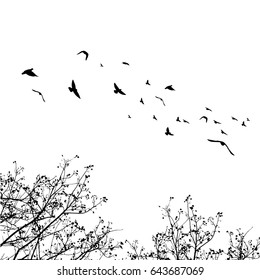 Flying birds and branch silhouettes on white background. Vector illustration. isolated bird flying and branch.