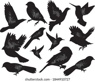 Flying birds collection silhouettes vector 