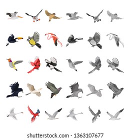 Flying birds color and monochrome icons set vector concept