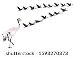 Flying birds. Crane. Vector images. White background.
