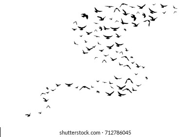 Flying birds. Decoration element from scattered silhouettes. Vertical wavy path