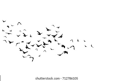 Flying birds. Decoration element from scattered silhouettes. Horizontal wavy path