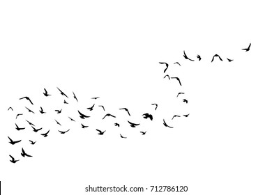 Flying birds. Decoration element from scattered silhouettes. Wavy path