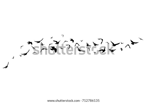 Flying birds. Decoration element from scattered\
silhouettes. Horizontal\
divider