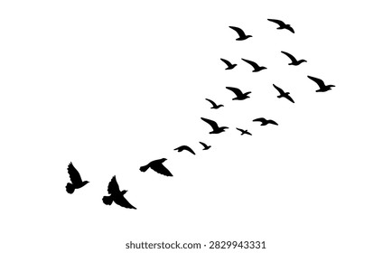Flying birds flock diagonal migration silhouette, wild seagulls flight wave isolated on white background vector