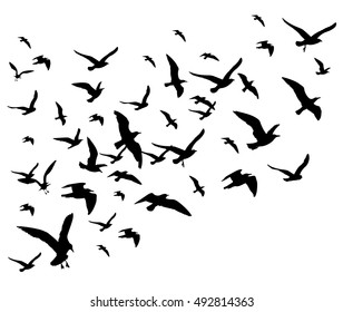 Flying birds flock vector illustration isolated on white background. Silhouette of black pigeon hawk and eagle