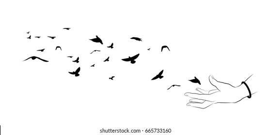 Flying birds and hand silhouettes on white background. Vector il