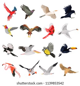 Flying birds high quality icons set