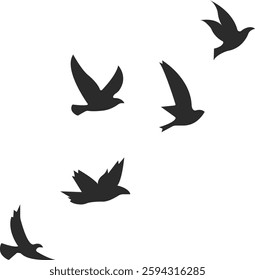 Flying Birds Illustration Silhouette Set