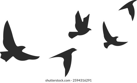 Flying Birds Illustration Silhouette Set