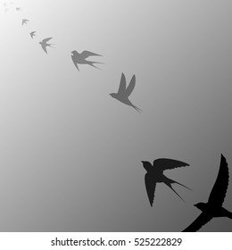 flying birds flying into the distance,vector illustration