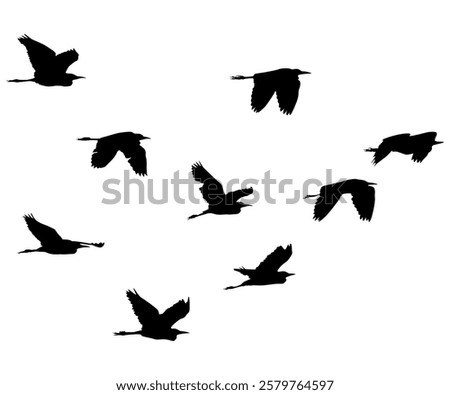 Flying birds isolated on white background illustration