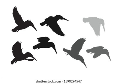 Flying birds. Kingfisher. Vector image. White background.