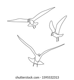 Flying birds in line art drawing style. Group of gulls black linear sketch on white background. Vector illustration