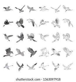 Flying birds line and monochrome icons set vector concept